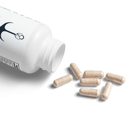 Brain Support Complex Supplement by Navy Lanier (60 Capsules)